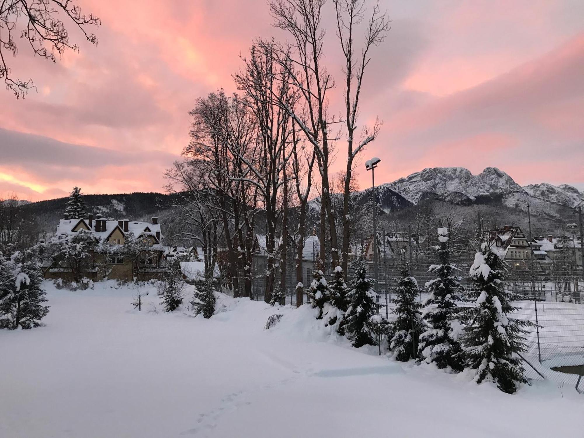 Willa Kmicic Zakopane Eksteriør bilde